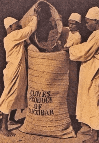 The Zanzibar People:History, Culture, and Traditions Clove production in Zanzibar-The Zanzibar people