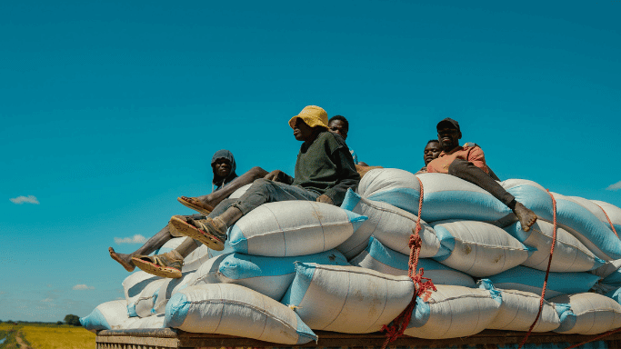 Common Flours Used to Make Ugali in Tanzania.