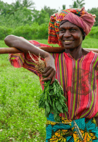 Farming and Agriculture in Tanzania