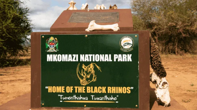 Rhinos in Tanzania.