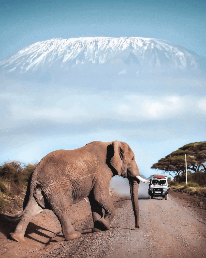 Mt kilimanjaro tanzania