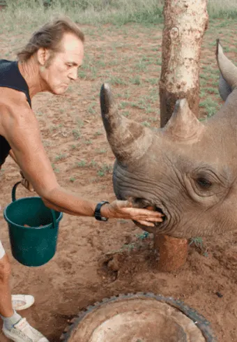 Rhinos in Tanzania.