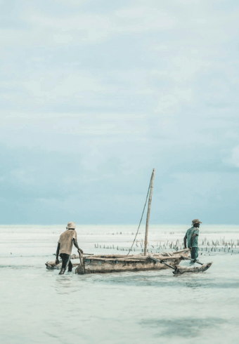 The Zanzibar People:History, Culture, and Traditions zanzibar Dhows- thisistanzania.com