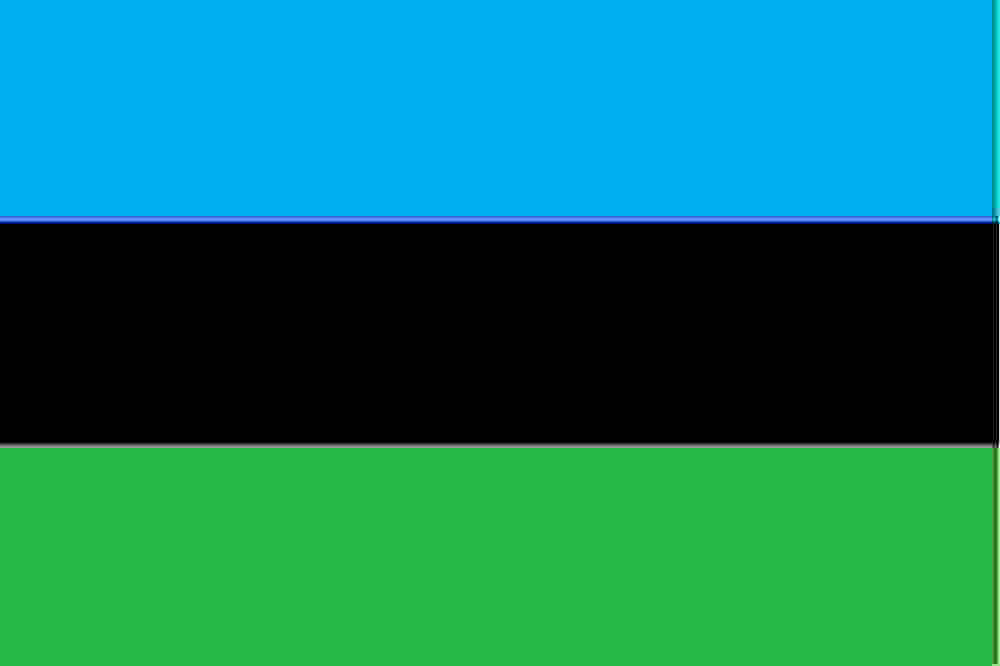 The Tanzania Flag
