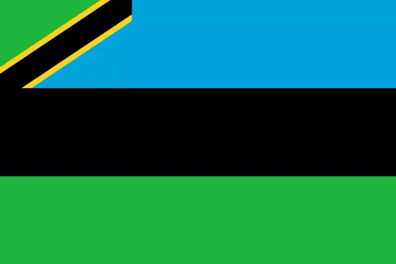 The Tanzania Flag The Zanzibar regional flag