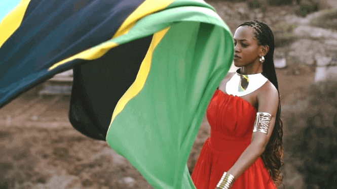 The Tanzania Flag How is the Tanzania flag used?