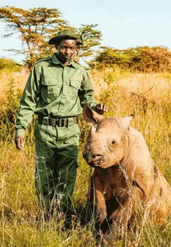 Rhinos in Tanzania
